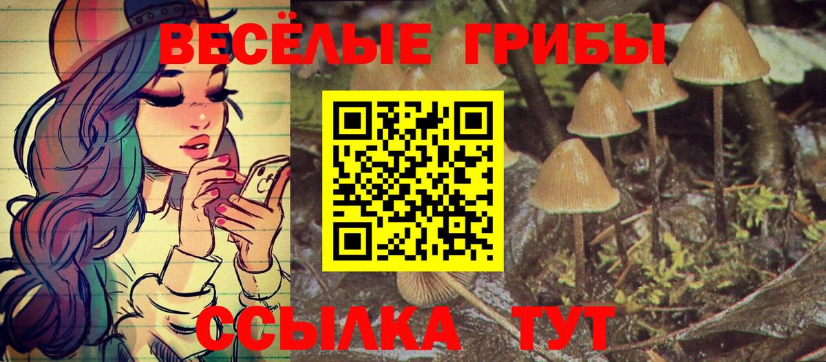 Назрань  Галлюциногенные грибы прущие грибы  Вход с VPN 